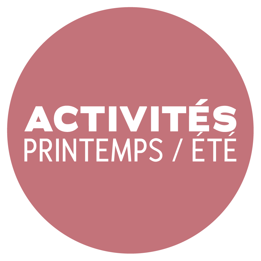 école de surf à saint-gilles-croix-de-vie